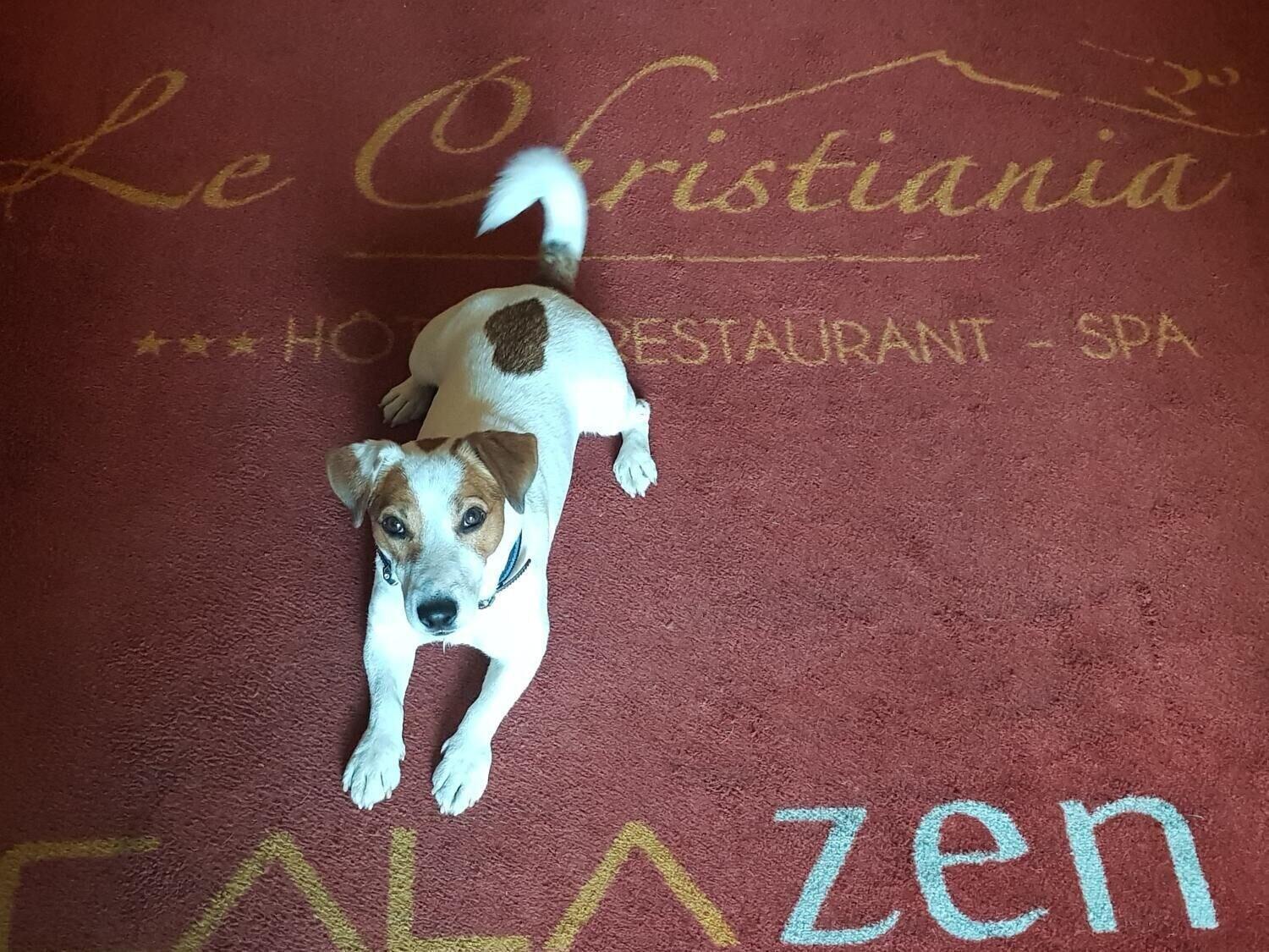 Le Christiania Hotel & Spa La Salle-les-Alpes Kültér fotó